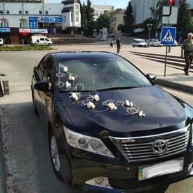 Toyota Camry xv 50 - авто на весілля у Тернополі - портфоліо 4
