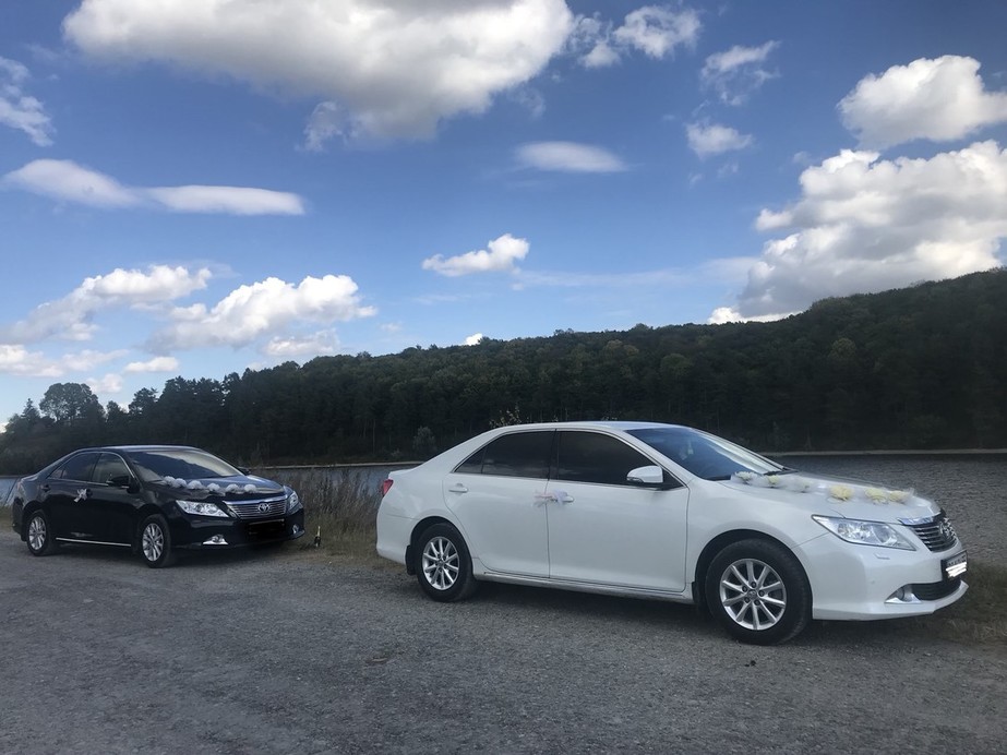 Toyota Camry xv 50 
