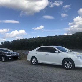 Toyota Camry xv 50 - авто на весілля у Тернополі - портфоліо 5