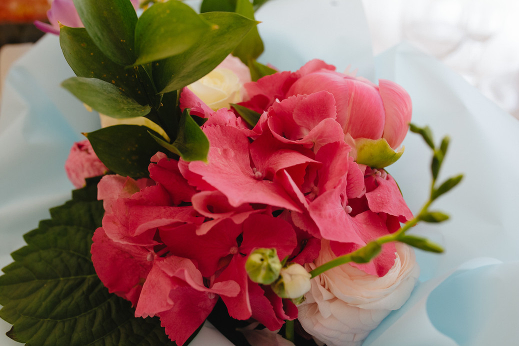 OSA flowers