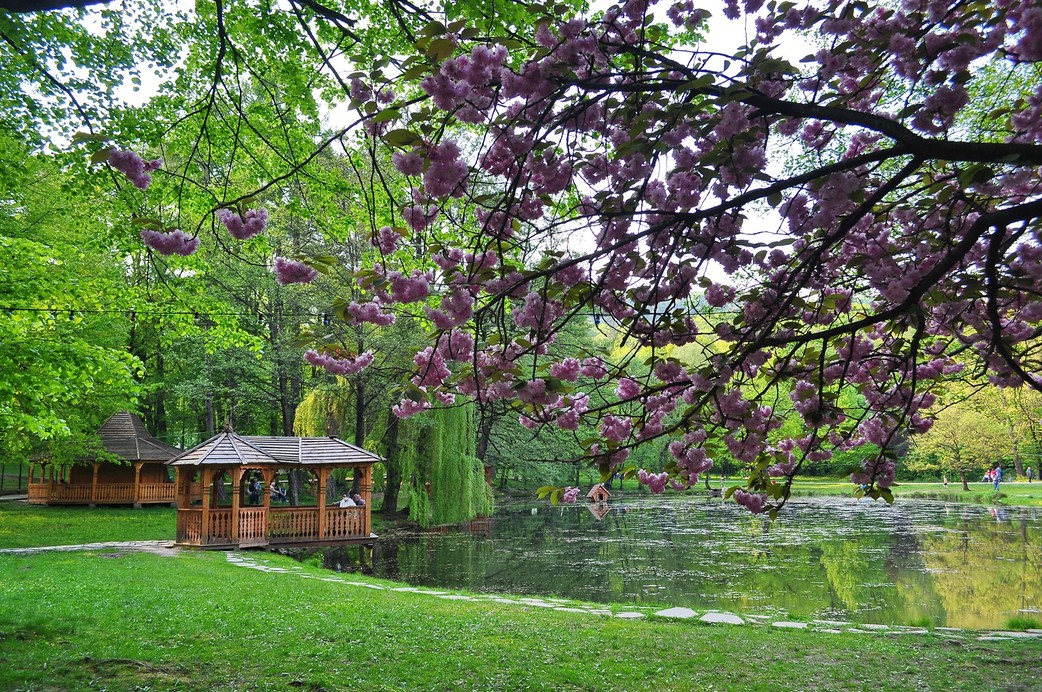 Замок Берегвар