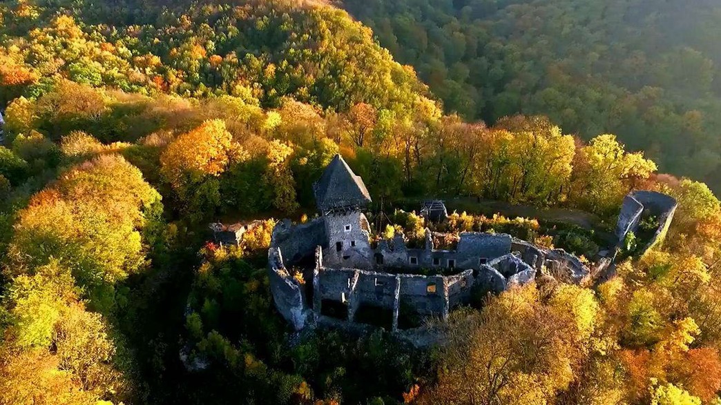 Невицкий замок