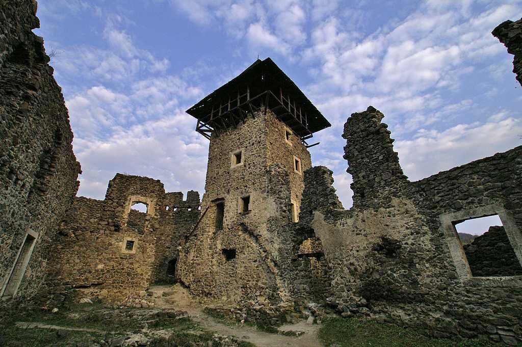 Невицкий замок