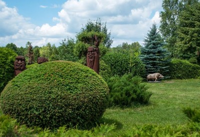Клесовский дендропарк - місце для фотосесій у Рівненської області - портфоліо 6
