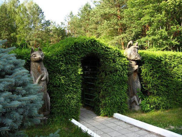 Клесовский дендропарк 