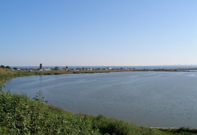 Новая Дофиновка. Лиман - місце для фотосесій у Одеської області - портфоліо 5