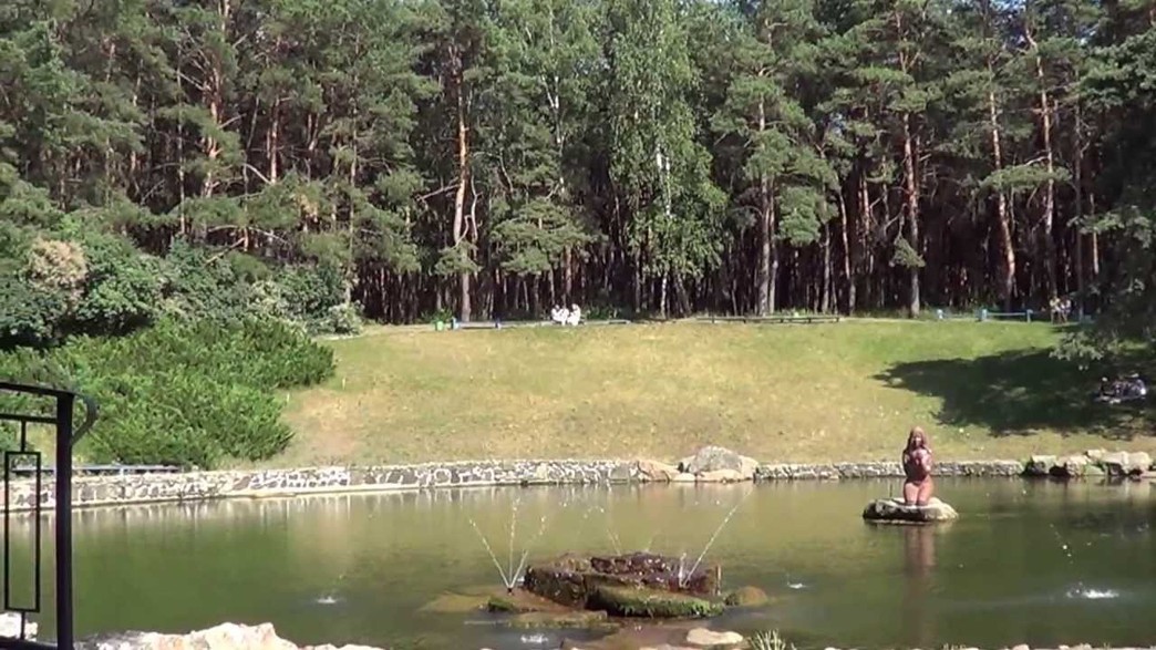 Сосновый бор