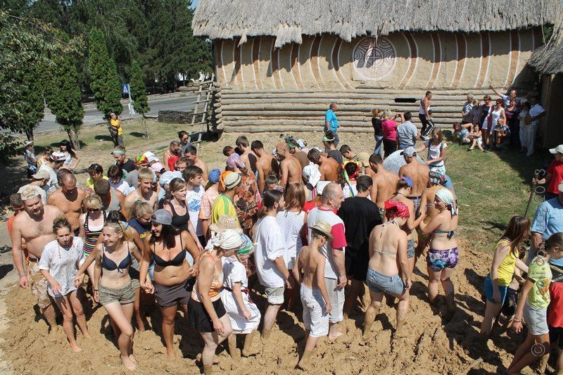 Трипольская толока