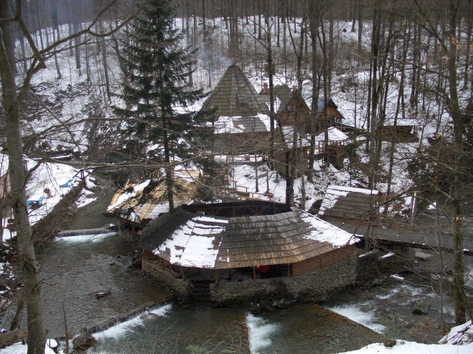 Чаны Закарпатья 