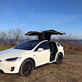 Tesla Model X - авто на весілля у Одесі - портфоліо 2