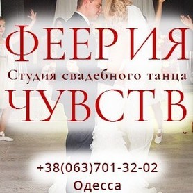 Артист, шоу Студия свадебного танца" Феерия чувств"