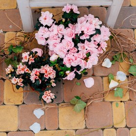 HOLEN flower design - декоратор, флорист у Києві - портфоліо 6