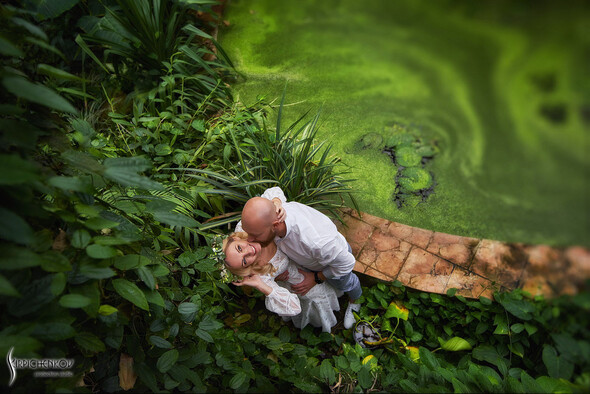 Свадебные фото в Оранжерее в Киеве, студийная сьемка в фотостудии Счастье - фото №20