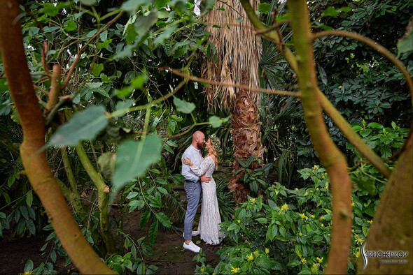 Свадебные фото в Оранжерее в Киеве, студийная сьемка в фотостудии Счастье - фото №14