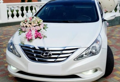Сергей Vipexpress - фото 1