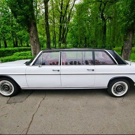 210 Ретро автомобіль Mercedes-Benz 1969 - авто на весілля у Києві - портфоліо 3