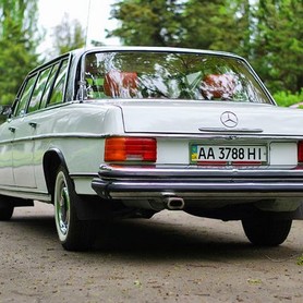210 Ретро автомобіль Mercedes-Benz 1969 - авто на весілля у Києві - портфоліо 4