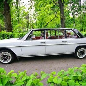 210 Ретро автомобіль Mercedes-Benz 1969 - авто на весілля у Києві - портфоліо 2