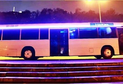 Ольга avtolimo - фото 2