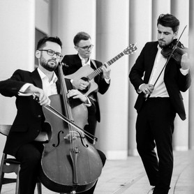 Музиканти, DJ Red Woods Trio