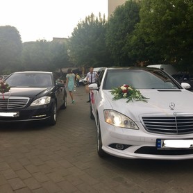 ПРОКАТ АВТО НА ВЕСІЛЛЯ! ВЕСІЛЬНИЙ КОРТЕЖ - авто на весілля у Рівному - портфоліо 4