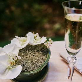 El event wedding - весільна агенція у Чернігові - портфоліо 5
