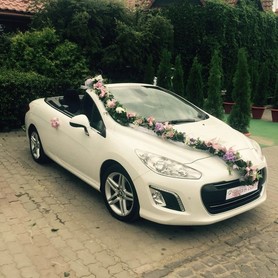 peugeot 308cc - авто на весілля у Мукачеві - портфоліо 1