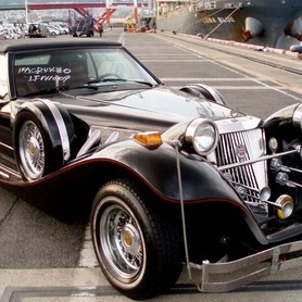 Mitsuoka dore - авто на весілля у Києві - портфоліо 4
