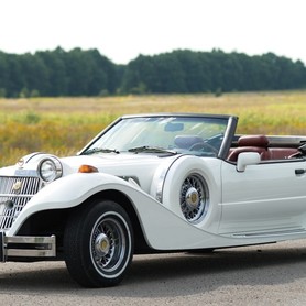 Mitsuoka dore - авто на весілля у Києві - портфоліо 1