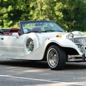 Mitsuoka dore - авто на весілля у Києві - портфоліо 2