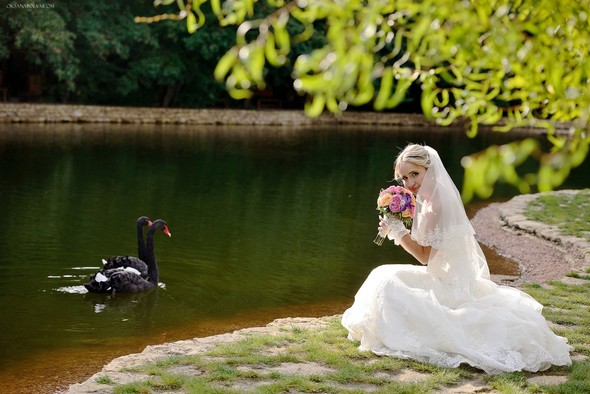 wedding DAy - фото №24