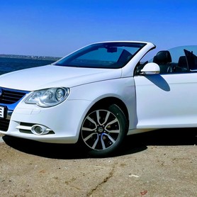 Volkswagen - авто на весілля у Миколаєві - портфоліо 1