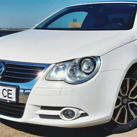 Volkswagen - авто на весілля у Миколаєві - портфоліо 4