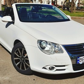 Volkswagen - авто на весілля у Миколаєві - портфоліо 3