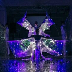 Шоу-балет "Арабеск"|"ARABESQUE" - артист, шоу у Одесі - фото 2