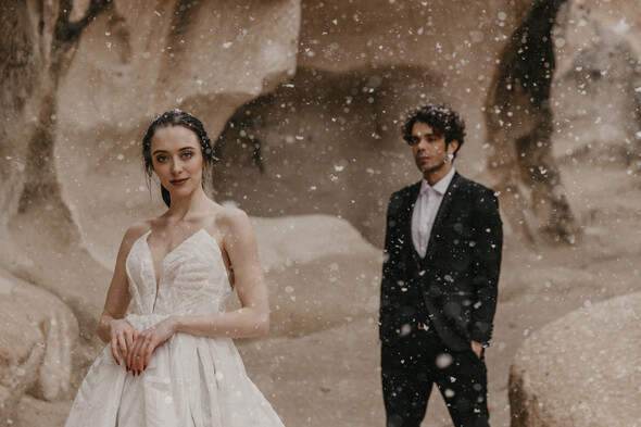 Anastasia& Farzam - фото №92