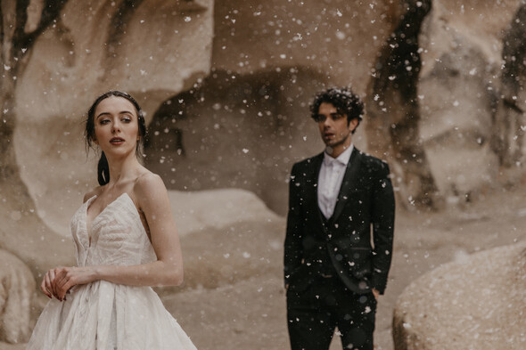 Anastasia& Farzam - фото №93