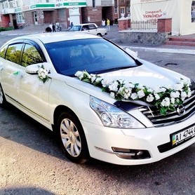 141 Nissan Teana білий - авто на весілля у Києві - портфоліо 1
