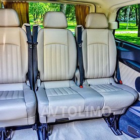 285 Мікроавтобус Mercedes Viano - авто на весілля у Києві - портфоліо 5