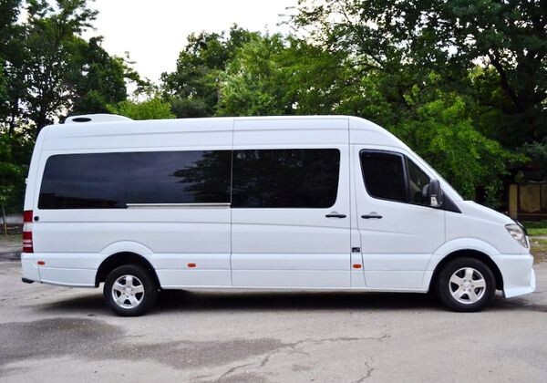 313 мікроавтобус Mercedes Sprinter 