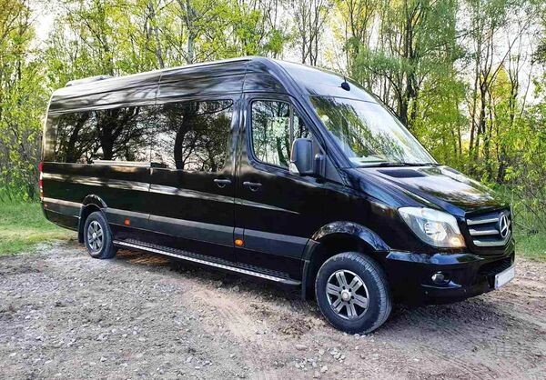 315 Мікроавтобус Mercedes-Benz Sprinter 