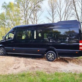 315 Мікроавтобус Mercedes-Benz Sprinter - авто на весілля у Києві - портфоліо 4