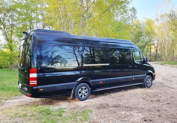 315 Мікроавтобус Mercedes-Benz Sprinter 
