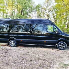 315 Мікроавтобус Mercedes-Benz Sprinter - авто на весілля у Києві - портфоліо 6