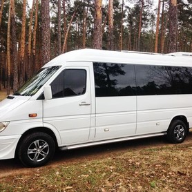 317 Мікроавтобус Mercedes Sprinter - авто на весілля у Києві - портфоліо 2