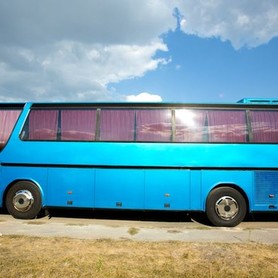 328 Автобус Setra 312 - авто на весілля у Києві - портфоліо 2