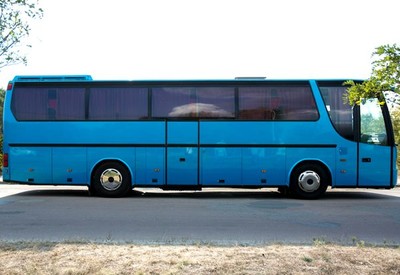 Ольга avtolimo - фото 3