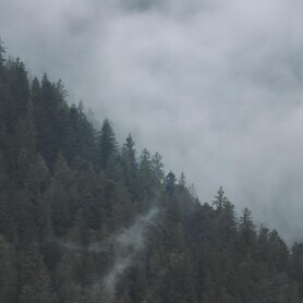 Максим Нестеров - фотограф у Києві - портфоліо 5