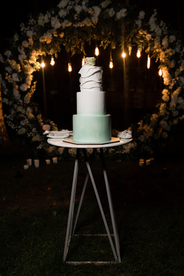 Natali's & Dima's wedding in Kyiv - фото №53