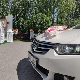 Honda ACCORD Black&White - авто на весілля у Хмельницькому - портфоліо 5